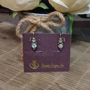 Premier Designs earrings